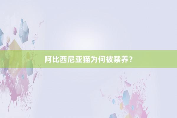 阿比西尼亚猫为何被禁养?