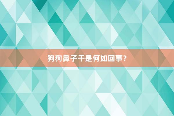 狗狗鼻子干是何如回事?