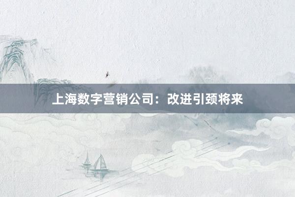 上海数字营销公司：改进引颈将来
